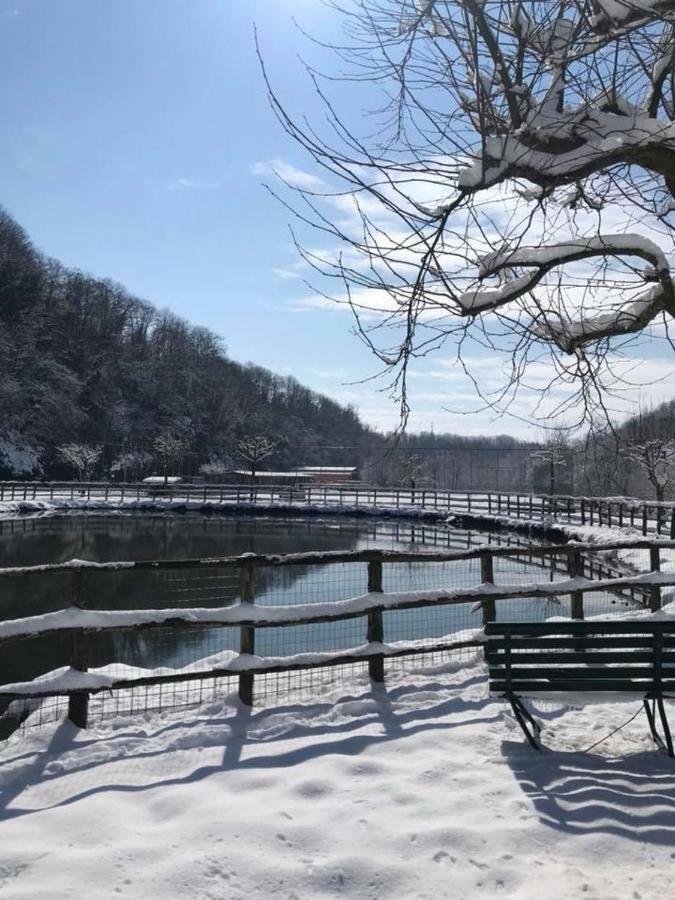 Agriturismo Casale Pepe Willa Palestrina Zewnętrze zdjęcie
